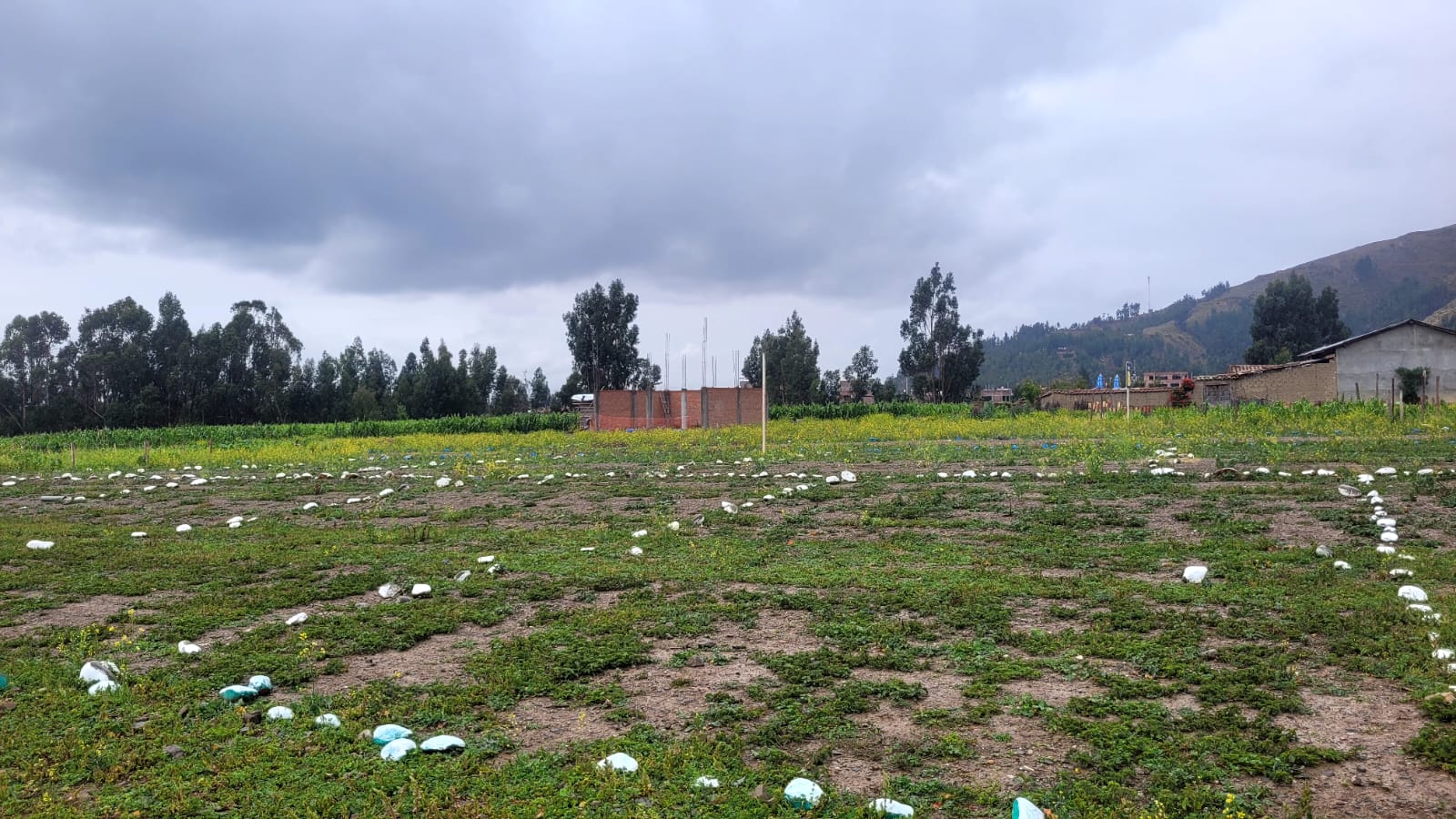 Galería Circunvalación