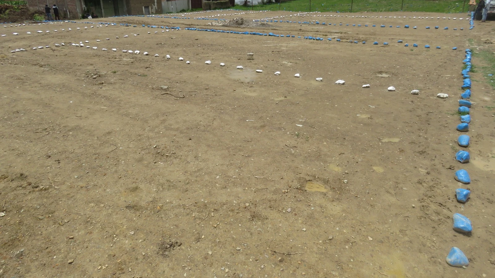 Galería Los Eucaliptos